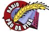 R�dio P�o da Vida - Levando o P�o do C�u a Todos