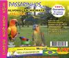 Alvorecer na mata - Sons P�ssaros Brasil