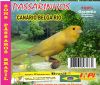 Can�rio Belga Rio - Sons P�ssaros Brasil