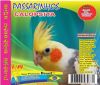 Calopsita - Sons P�ssaros Brasil