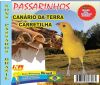 Can�rio da terra Carretilha - Sons P�ssaros Brasil