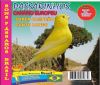Can�rio Europeu - Sons P�ssaros Brasil